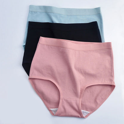 Culottes en coton taille haute (paquet de 6) - image 9