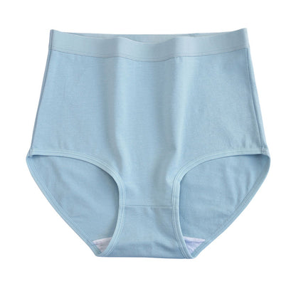 Culottes en coton taille haute (paquet de 6) - Lac Bleu - 3XL - image 10