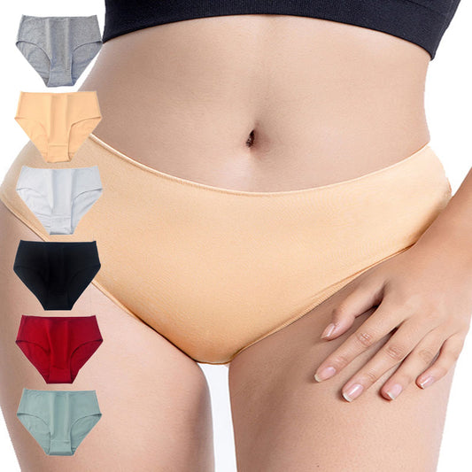 Culotte taille basse grande taille à couverture complète (lot de 6)