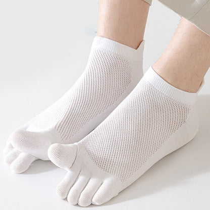 Chaussettes d'alignement style été grande taille (8 paires)