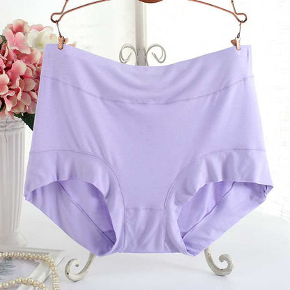 Culottes souples taille haute (paquet de 3) - Violet clair - XL - image 3