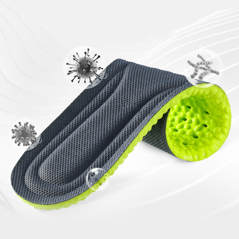 Semelles respirantes Wormwoods grande taille