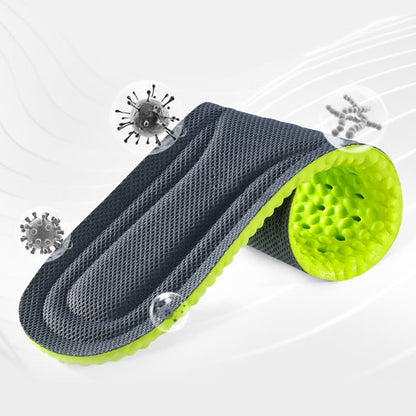 Semelles respirantes Wormwoods grande taille