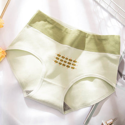 Culottes de la série verte (paquets de 4) - Vert clair - 2XL - image 4
