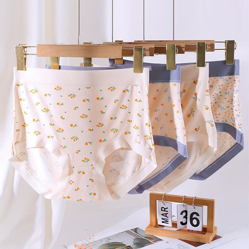 Culottes à fleurs élégantes (paquets de 4) - Multicolore - 3XL - image 5