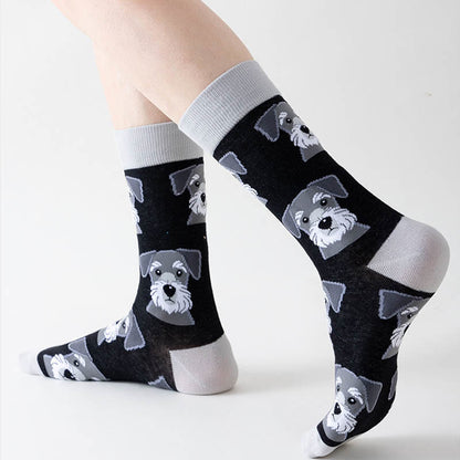 Chaussettes Panda Dog Cat Quarter (5 paires) - image 4