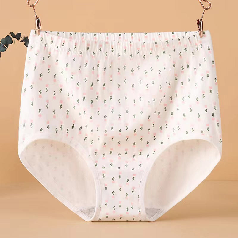 Culotte jacquard taille haute grande taille (lot de 4)