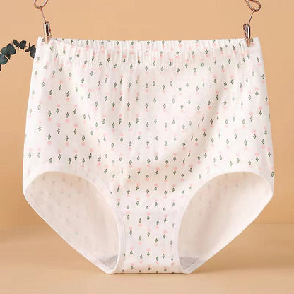 Culotte jacquard taille haute grande taille (lot de 4)