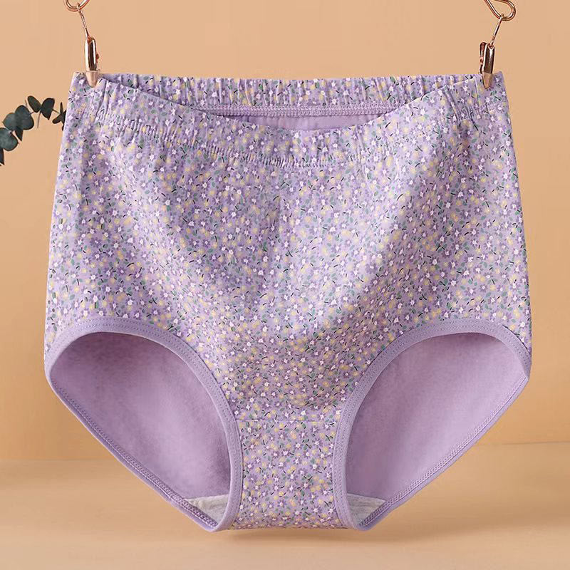 Culotte jacquard taille haute grande taille (lot de 4)