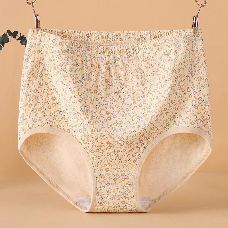 Culottes jacquard taille haute (paquet de 4) - image 3