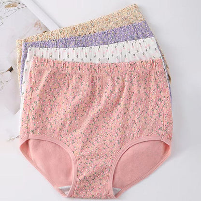 Culottes jacquard taille haute (paquet de 4) - Multicolore - 3XL - image 0