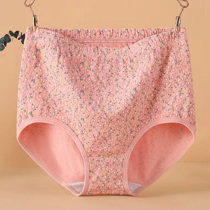 Culotte jacquard taille haute grande taille (lot de 4)