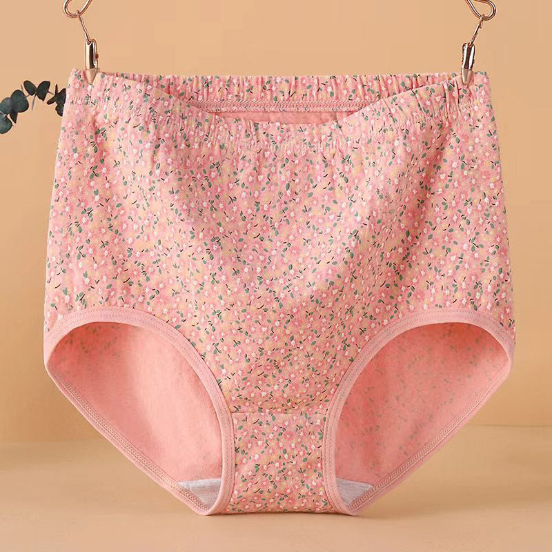 Culottes jacquard taille haute (paquet de 4) - image 4