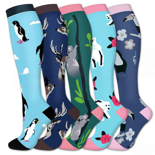 Chaussettes de compression Koala Penguin (5 paires) - Multicolore - S/M - image 0