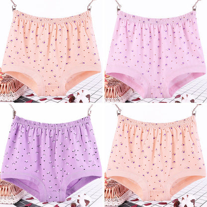 Culottes en pur coton à motif floral grande taille (lot de 4)