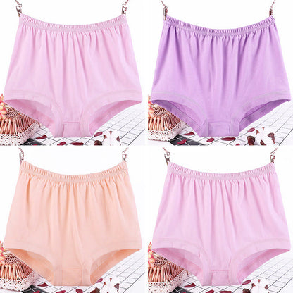 Culottes en pur coton à motif floral grande taille (lot de 4)