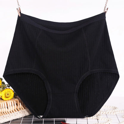 Culotte taille haute grande taille (lot de 3)