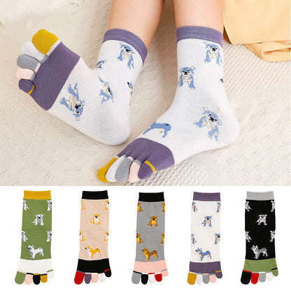Chaussettes d'alignement pour chien (5 paires)