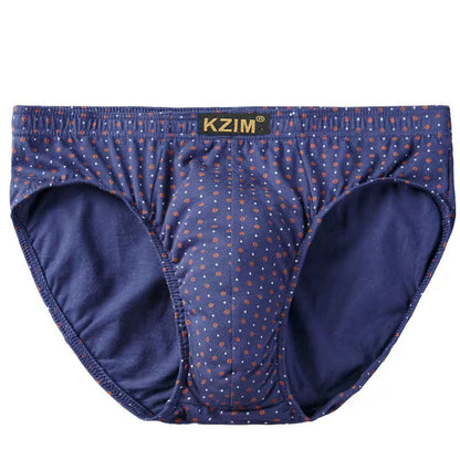 Slips en coton imprimé dragon pour hommes (lot de 3) - C-Bleu Royal - 7XL - image 12