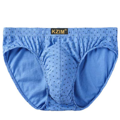 Slips en coton imprimé dragon pour hommes (lot de 3) - C-Bleu ciel - 7XL - image 13