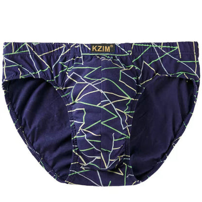 Slips en coton imprimé dragon pour hommes (lot de 3) - B-Bleu Royal - 7XL - image 7