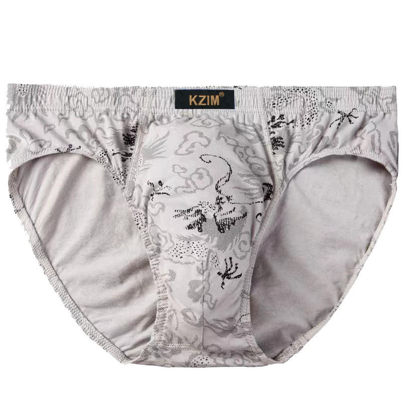 Slips en coton imprimé dragon pour hommes (lot de 3) - A-Gris - 7XL - image 6