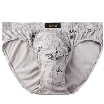 Slips en coton imprimé dragon pour hommes (lot de 3) - A-Gris - 7XL - image 6