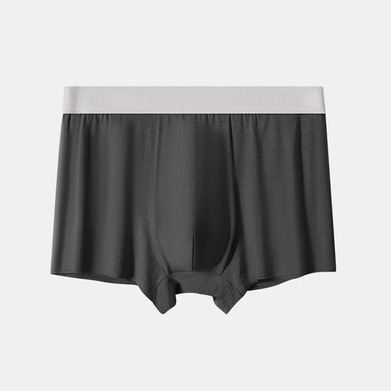 Boxer ample grande taille en fibre de bambou pour homme (lot de 2)