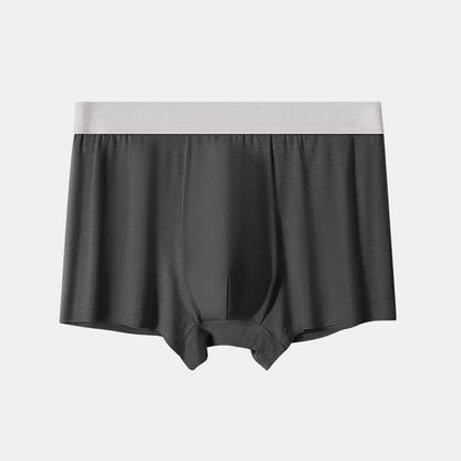 Boxer ample grande taille en fibre de bambou pour homme (lot de 2)