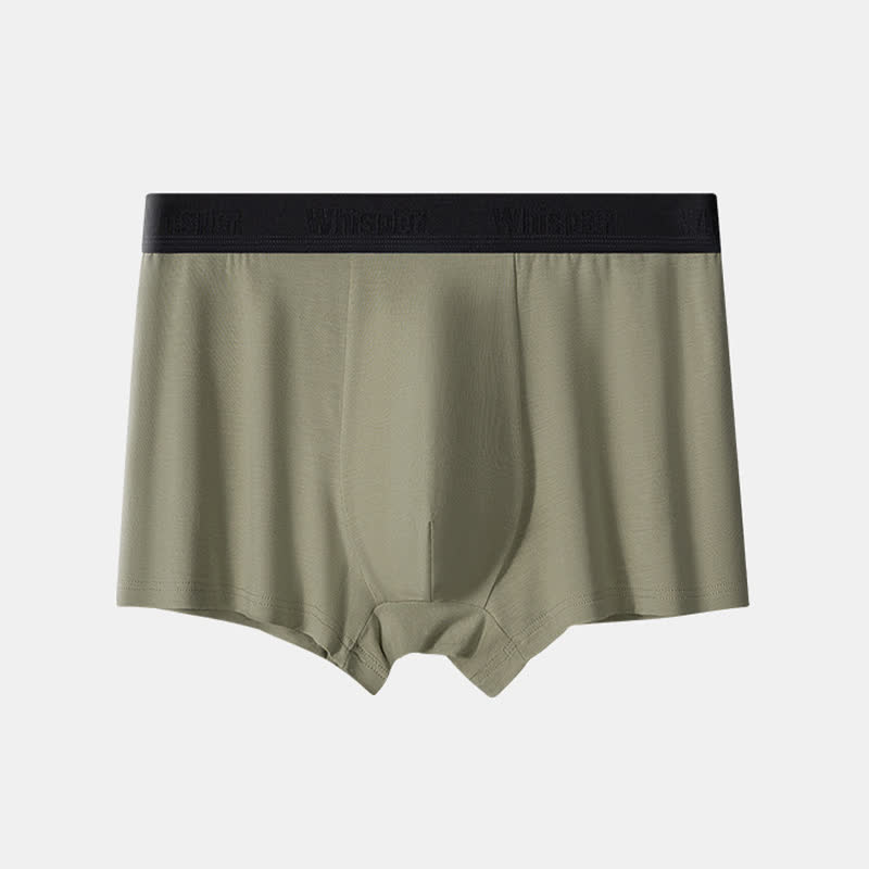 Boxer ample grande taille en fibre de bambou pour homme (lot de 2)