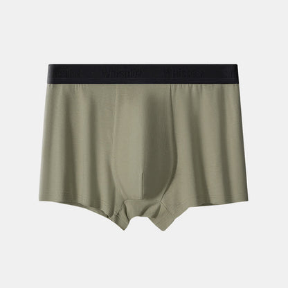 Boxer ample grande taille en fibre de bambou pour homme (lot de 2)
