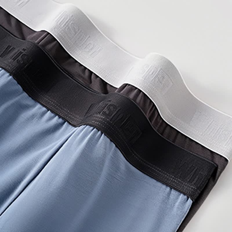 Boxer ample grande taille en fibre de bambou pour homme (lot de 2)