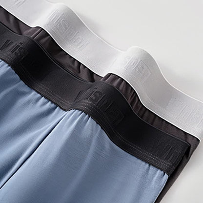 Boxer ample grande taille en fibre de bambou pour homme (lot de 2)