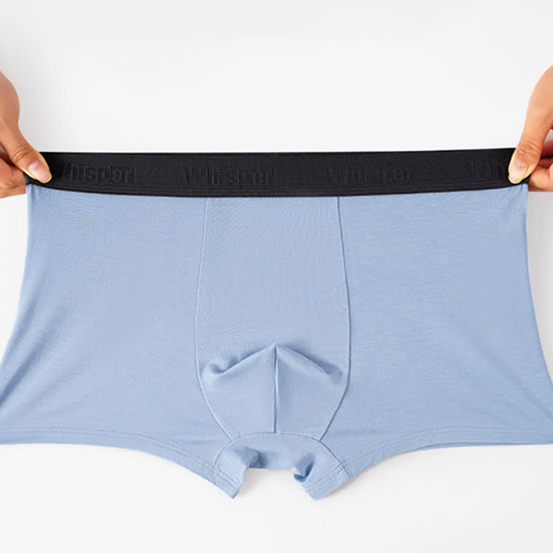 Boxer ample grande taille en fibre de bambou pour homme (lot de 2)
