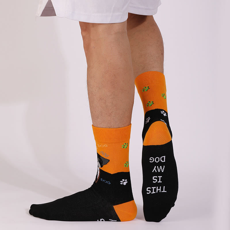 Chaussettes courtes de la série Chats et Chiens (4 paires) - image 2