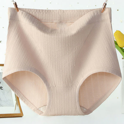 Culotte taille haute en coton sans coutures, couleur unie, grande taille (lot de 3)