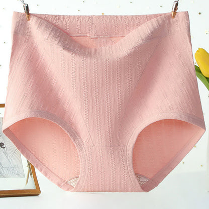 Culotte taille haute en coton sans coutures, couleur unie, grande taille (lot de 3)