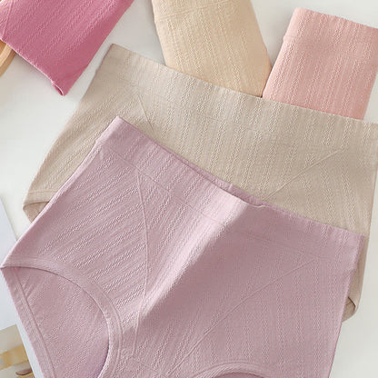 Culotte taille haute en coton sans coutures, couleur unie, grande taille (lot de 3)