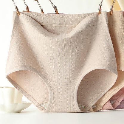 Culotte taille haute en coton sans coutures, couleur unie, grande taille (lot de 3)