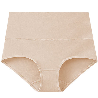 Culotte taille haute basique de couleur unie (lot de 3) - Nu - 5XL - image 9