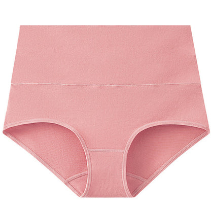 Culotte taille haute basique de couleur unie (lot de 3) - Rose foncé - 5XL - image 5