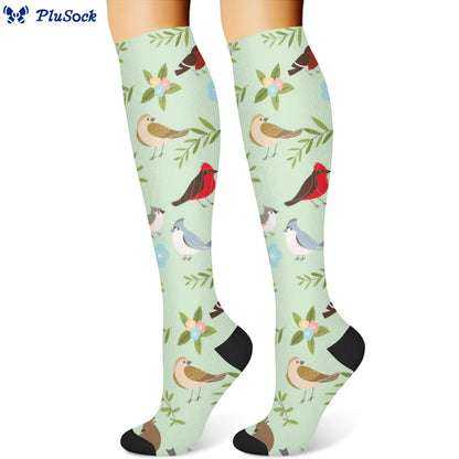 Chaussettes de compression à motif d'oiseaux et de fleurs printanières (3 paires) - image 2