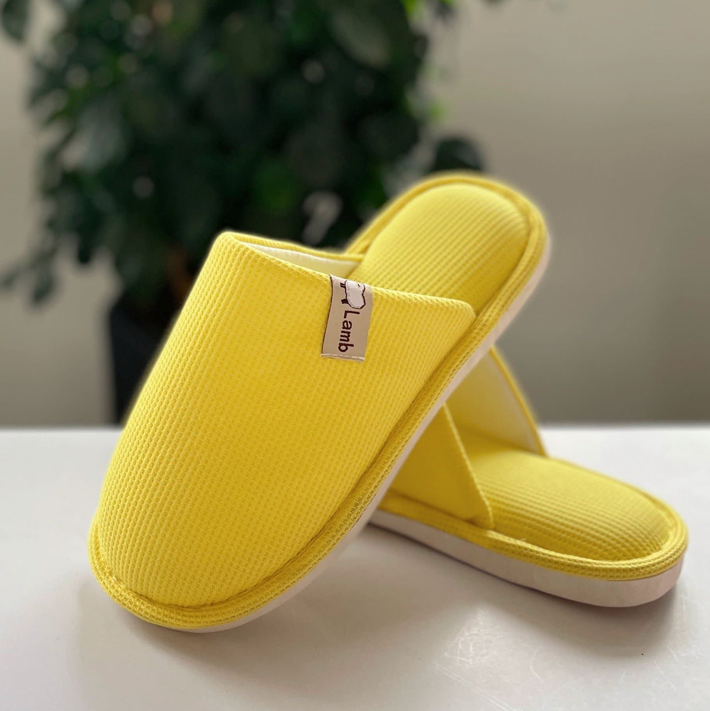 Chaussons simples gaufrés de couleur unie - Jaune - US10-11 - image 2