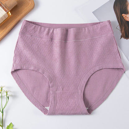 Lot de 3 slips taille haute en coton uni - Violet - 6XL - image 5
