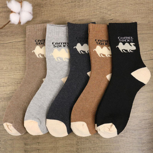 Chaussettes Camel Quarter grande taille (5 paires) - Multicolore - EU39-44(US6-10) - image 0