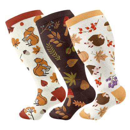 Chaussettes de compression hérisson d'automne grande taille (3 paires) - Multicolore - 4XL - image 4