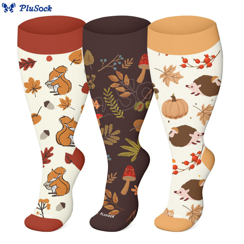 Chaussettes de compression hérisson d'automne grande taille (3 paires) - image 0