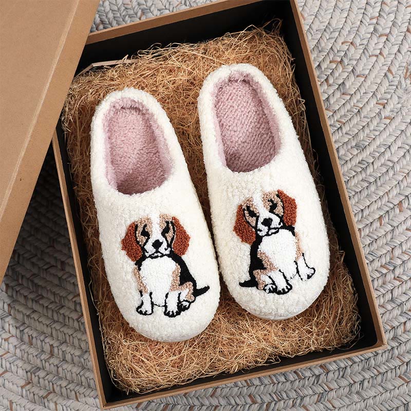 Pantoufles Beagle grandes tailles - image 0
