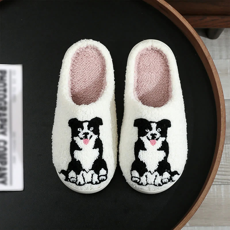 Pantoufles Border Collie grandes tailles - image 0