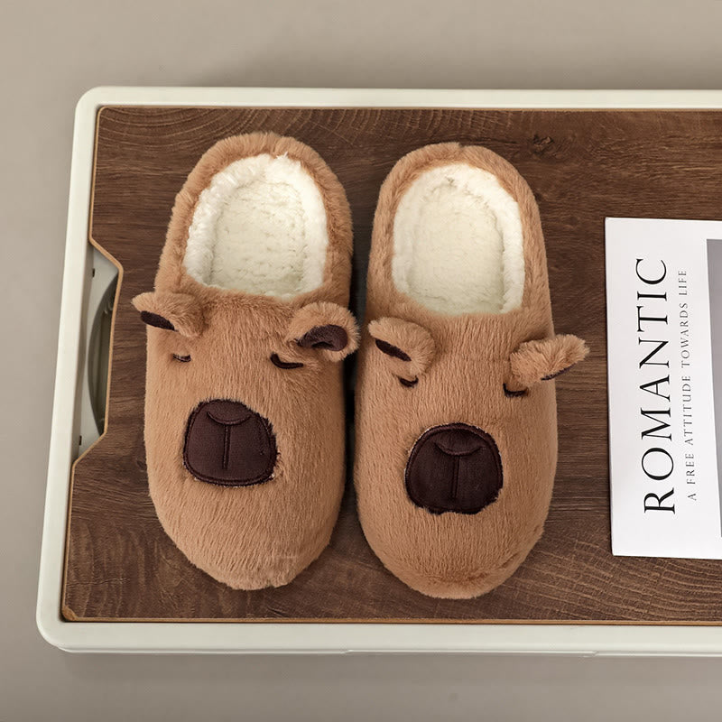 Pantoufles Capybara grandes tailles - image 0
